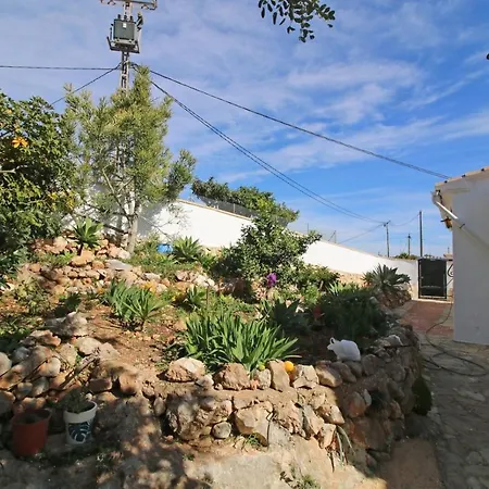 Mimosa Calpe